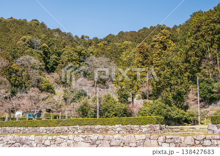 安土城跡 滋賀県近江八幡市 安土城跡 滋賀県近江八幡市 138427683