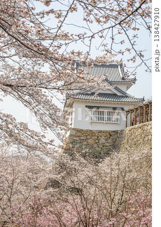 津山城、桜の隙間から望む歴史の息吹 津山城、桜の隙間から望む歴史の息吹 138427910