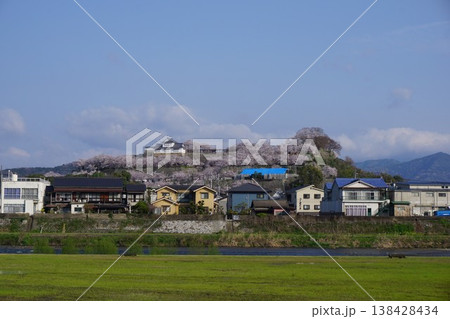 岡山県津山市にあるさくら名所100選のひとつ「鶴山公園(津山城趾)」 岡山県津山市にあるさくら名所100選のひとつ「鶴山公園(津山城趾)」 138428434