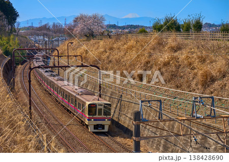 春の東京都稲城市の富士山と梅、京王電車の眺望 春の東京都稲城市の富士山と梅、京王電車の眺望 138428690