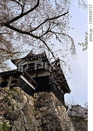 春の郡山城 138428717