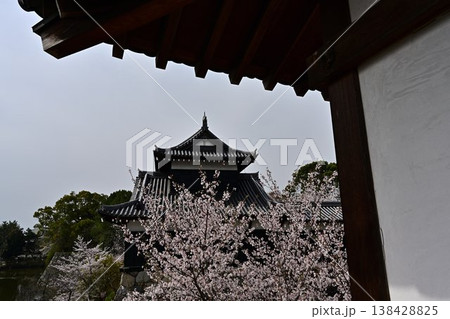 春の郡山城 138428825