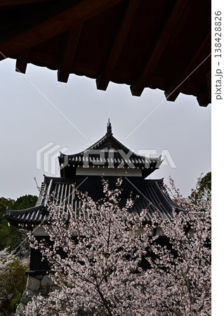 春の郡山城 春の郡山城 138428826