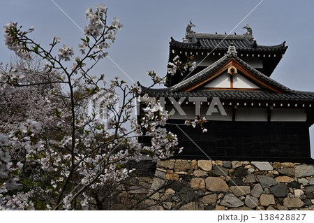 春の郡山城 138428827