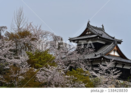 春の郡山城 138428830
