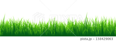 Meadow silhouette with green grass, plants on plain. Panoramic summer lawn landscape with herbs, various weeds. Herbal border, frame element. Black horizontal banners. Vector illustration 138429063
