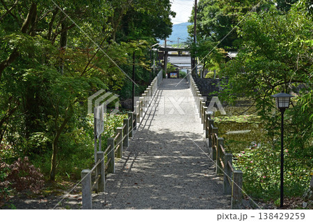 滋賀県甲賀市 大池寺の八幡神社 滋賀県甲賀市 大池寺の八幡神社 138429259