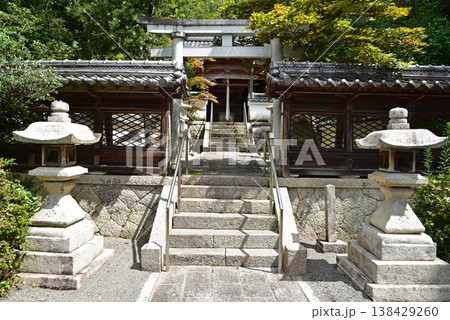 滋賀県甲賀市　大池寺の八幡神社 138429260