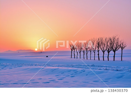 朝焼けの雪原のハサ木・越後三山冬景色 朝焼けの雪原のハサ木・越後三山冬景色 138430370