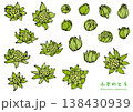 筆で描いたふきのとう　カラー 138430939