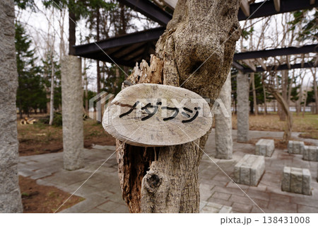 ノダフジ・前田森林公園 ノダフジ・前田森林公園 138431008