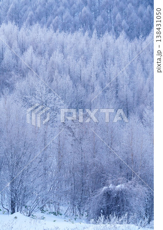 霧氷に包まれた美瑛富良野の冬景色 北海道の幻想的な雪の風景 138431050