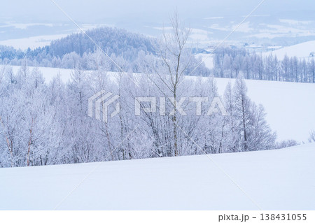 霧氷に包まれた美瑛富良野の冬景色 北海道の幻想的な雪の風景 霧氷に包まれた美瑛富良野の冬景色 北海道の幻想的な雪の風景 138431055