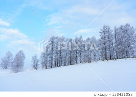 霧氷に包まれた美瑛富良野の冬景色 北海道の幻想的な雪の風景 霧氷に包まれた美瑛富良野の冬景色 北海道の幻想的な雪の風景 138431058