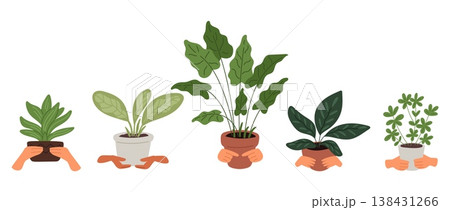 Mens and womens hands holding indoor plants. Human arms with potted succulents and cactuses. Monstera palm leaves. People carry houseplants. Home greenery. Vector set of flowers in pots Mens and womens hands holding indoor plants. Human arms with potted succulents and cactuses. Monstera palm leaves. People carry houseplants. Home greenery. Vector set of flowers in pots 138431266