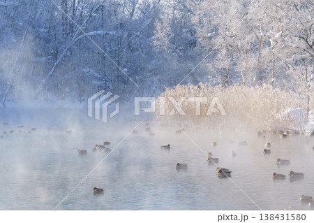 霧氷と気嵐に包まれた鳥沼公園 北海道富良野の幻想的な冬景色 138431580