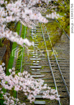 京都のインクライン、線路沿いに続く線路と桜 138431766