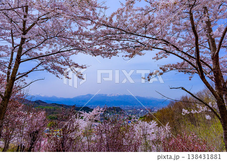 春爛漫の花見山、色鮮やかな桜と花々が山を彩る桃源郷のパノラマ風景 138431881
