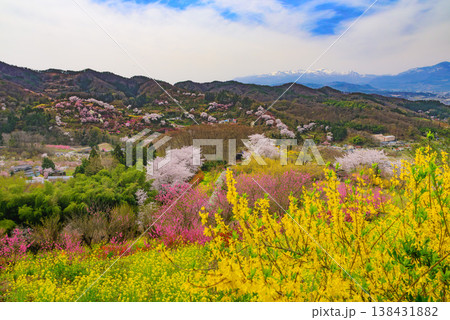春爛漫の花見山、色鮮やかな桜と花々が山を彩る桃源郷のパノラマ風景 春爛漫の花見山、色鮮やかな桜と花々が山を彩る桃源郷のパノラマ風景 138431882