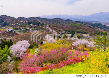 春爛漫の花見山、色鮮やかな桜と花々が山を彩る桃源郷のパノラマ風景 138431883