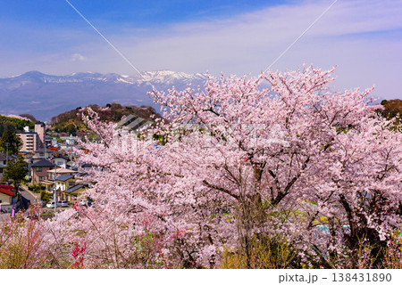 春爛漫の花見山、色鮮やかな桜と花々が山を彩る桃源郷のパノラマ風景 138431890