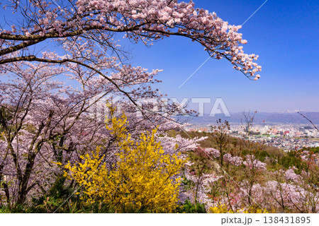 春爛漫の花見山、色鮮やかな桜と花々が山を彩る桃源郷のパノラマ風景 138431895