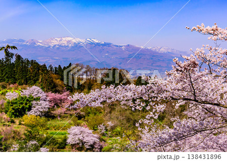 春爛漫の花見山、色鮮やかな桜と花々が山を彩る桃源郷のパノラマ風景 春爛漫の花見山、色鮮やかな桜と花々が山を彩る桃源郷のパノラマ風景 138431896