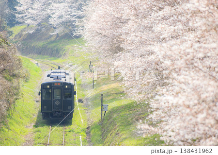 桜並木と「黒銀」(平成筑豊鉄道) 桜並木と「黒銀」(平成筑豊鉄道) 138431962