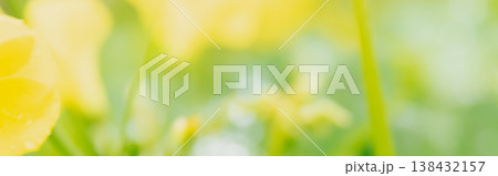 Abstract photo of a natural yellow and green bokeh background. The completely out-of-focus plants and golden light spots create a soft, ethereal floral tapestry Abstract photo of a natural yellow and green bokeh background. The completely out-of-focus plants and golden light spots create a soft, ethereal floral tapestry 138432157