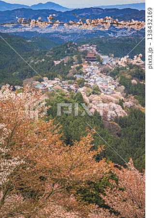 吉野山の桜が山を染める 日本屈指の春の名所 吉野山の桜が山を染める 日本屈指の春の名所 138432169