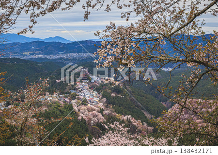 吉野山の桜と舞い散る花びら 春の日本の風景 吉野山の桜と舞い散る花びら 春の日本の風景 138432171