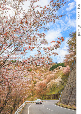 吉野山に咲き誇る桜と山並み 日本の春 138432190