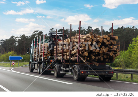 Back view many long heavy industrial wood carrier cargo vessel truck trailer with big timber pine, spruce, cedar driving on highway road with blue sky background. Timber export and shipping concept Back view many long heavy industrial wood carrier cargo vessel truck trailer with big timber pine, spruce, cedar driving on highway road with blue sky background. Timber export and shipping concept 138432326