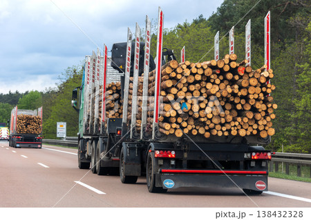 Back view many long heavy industrial wood carrier cargo vessel truck trailer with big timber pine, spruce, cedar driving on highway road with blue sky background. Timber export and shipping concept 138432328