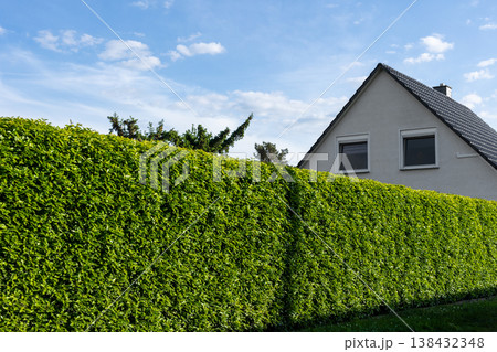 Dense green hedge natural privacy barrier suburban property house roof windows behind foliage. Bright summer sky trimmed vegetation calm residential environment peaceful outdoor neighborhood scene Dense green hedge natural privacy barrier suburban property house roof windows behind foliage. Bright summer sky trimmed vegetation calm residential environment peaceful outdoor neighborhood scene 138432348