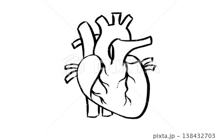Human heart icon Human heart icon 138432703