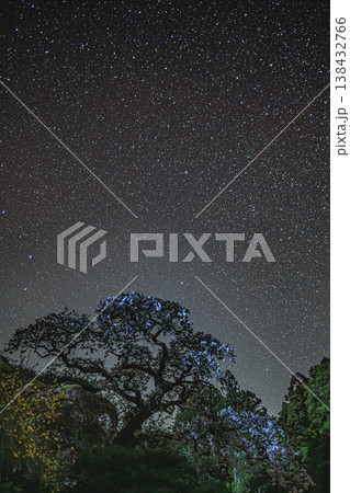 奈良の山奥に咲く兵太郎桜と満天の星空が織りなす幻想的な星景 138432766