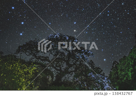 星降る夜に浮かぶ兵太郎桜 奈良の秘境で出会う春の星景風景 星降る夜に浮かぶ兵太郎桜 奈良の秘境で出会う春の星景風景 138432767