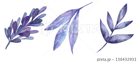 Hand-drawn watercolor purple botanical elements including lavender sprigs and violet leaves isolated on white background, ideal for elegant wedding invitations and floral clipart designs Hand-drawn watercolor purple botanical elements including lavender sprigs and violet leaves isolated on white background, ideal for elegant wedding invitations and floral clipart designs 138432931