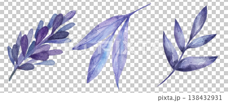 Hand-drawn watercolor purple botanical elements including lavender sprigs and violet leaves isolated on white background, ideal for elegant wedding invitations and floral clipart designs Hand-drawn watercolor purple botanical elements including lavender sprigs and violet leaves isolated on white background, ideal for elegant wedding invitations and floral clipart designs 138432931