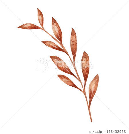 Hand-drawn watercolor terracotta leaf branch isolated on white background, featuring warm brown autumn foliage for organic bohemian designs and minimalist botanical clipart Hand-drawn watercolor terracotta leaf branch isolated on white background, featuring warm brown autumn foliage for organic bohemian designs and minimalist botanical clipart 138432958
