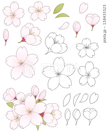淡い色の桜のイラスト素材 138433323