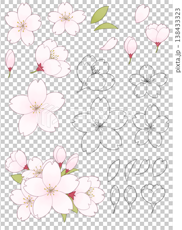 柔和色調的櫻花插圖 柔和色調的櫻花插圖 138433323