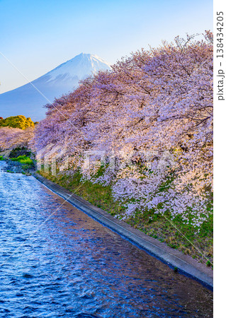 富士山と満開の桜並木 潤井川・龍巌淵の絶景風景 静岡県富士市 富士山と満開の桜並木 潤井川・龍巌淵の絶景風景 静岡県富士市 138434205