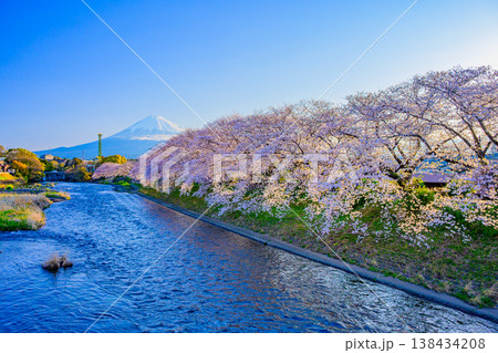 富士山と満開の桜並木 潤井川・龍巌淵の絶景風景 静岡県富士市 富士山と満開の桜並木 潤井川・龍巌淵の絶景風景 静岡県富士市 138434208