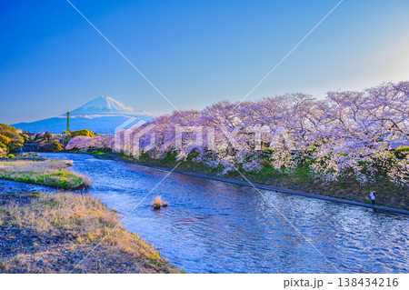 富士山と満開の桜並木 潤井川・龍巌淵の絶景風景 静岡県富士市 富士山と満開の桜並木 潤井川・龍巌淵の絶景風景 静岡県富士市 138434216