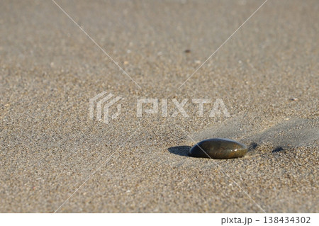 恋路ヶ浜（愛知県田原市）・波に洗われる小石 138434302