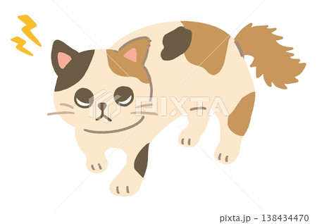 警戒する猫のかわいいベクターイラスト やんのかステップ 警戒する猫のかわいいベクターイラスト やんのかステップ 138434470