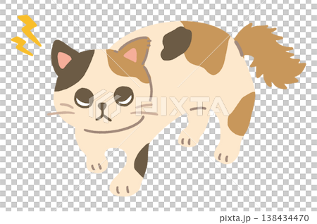 警戒する猫のかわいいベクターイラスト やんのかステップ 警戒する猫のかわいいベクターイラスト やんのかステップ 138434470