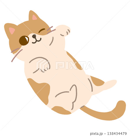 お腹を見せてウインクする猫のかわいいベクターイラスト 138434479